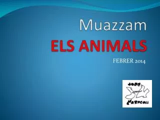 m uazzam els animals