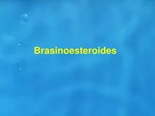 Brasinoesteroides