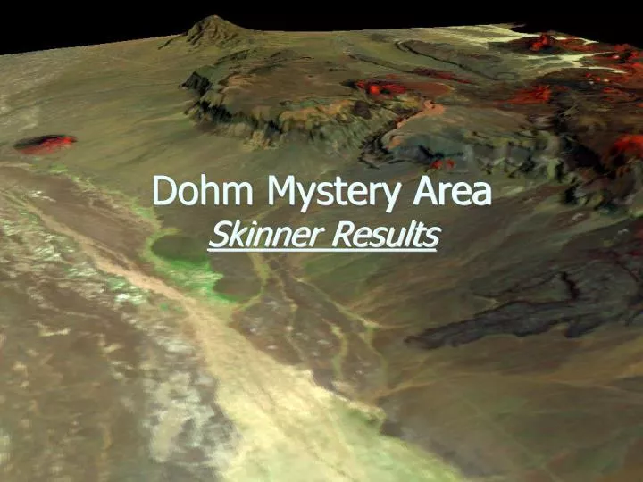 dohm mystery area skinner results