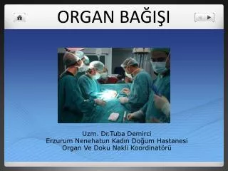 organ ba i i