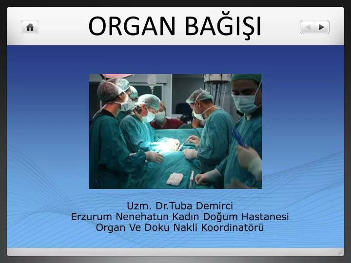 organ ba i i