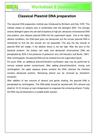 Classical Plasmid DNA preparation