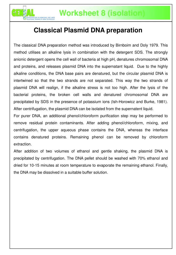 classical plasmid dna preparation