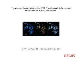 JC Dohm et al. Nature 000 , 1 - 4 (2013) doi:10.1038/nature 12817