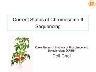 Current Status of Chromosome II Sequencing