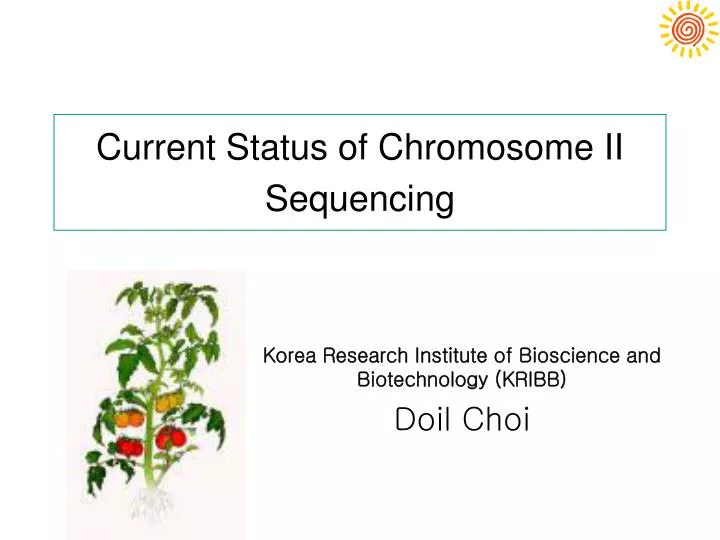 current status of chromosome ii sequencing
