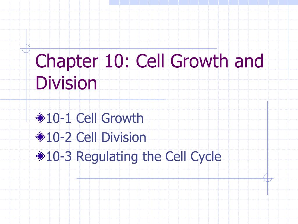 PPT - Chapter 10: Cell Growth and Division PowerPoint Presentation