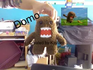 Domo