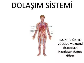 dola im s stem