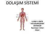 DOLAŞIM SİSTEMİ - slide 1
