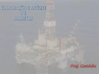 elabora o e an lise de projetos