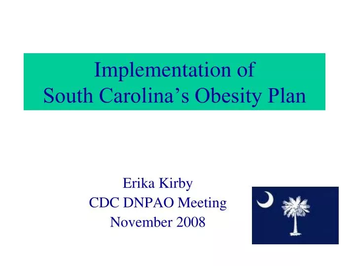 implementation of south carolina s obesity plan