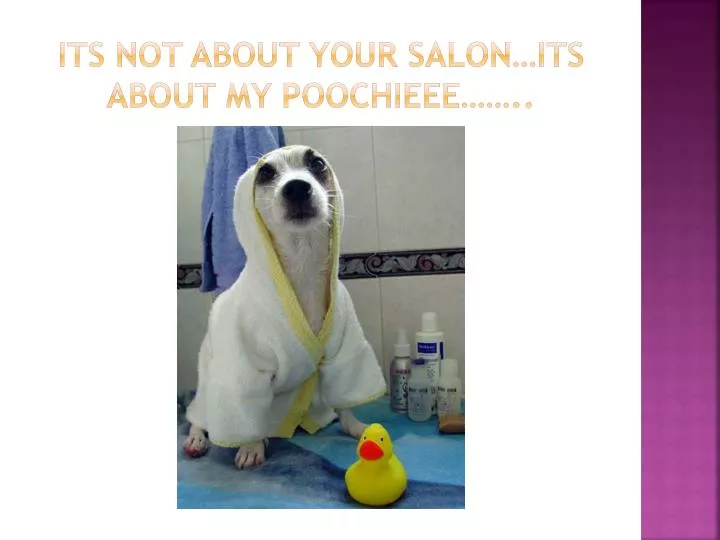 its not about your salon its about my poochieee