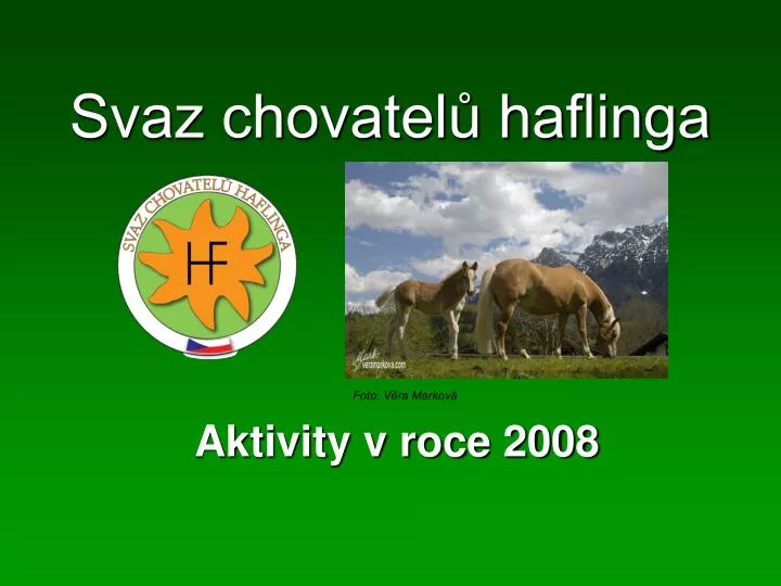 svaz chovatel haflinga