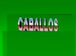 CABALLOS - slide 1