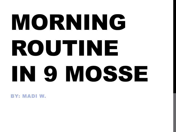 morning routine in 9 mosse