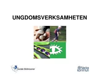 ungdomsverksamheten