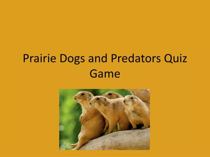 prairie dogs and predators quiz game