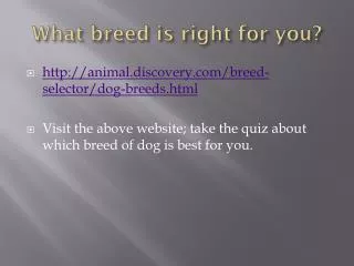 What breed is right for you?