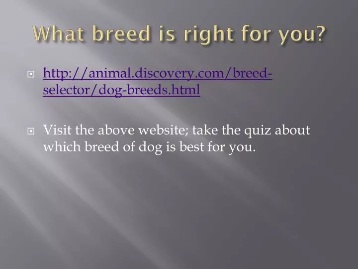 what breed is right for you