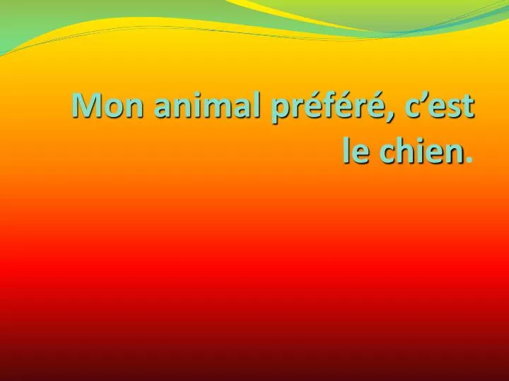 mon animal pr f r c est le chien