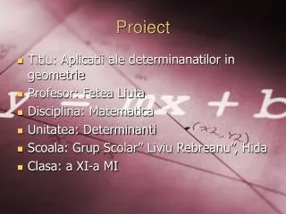 proiect