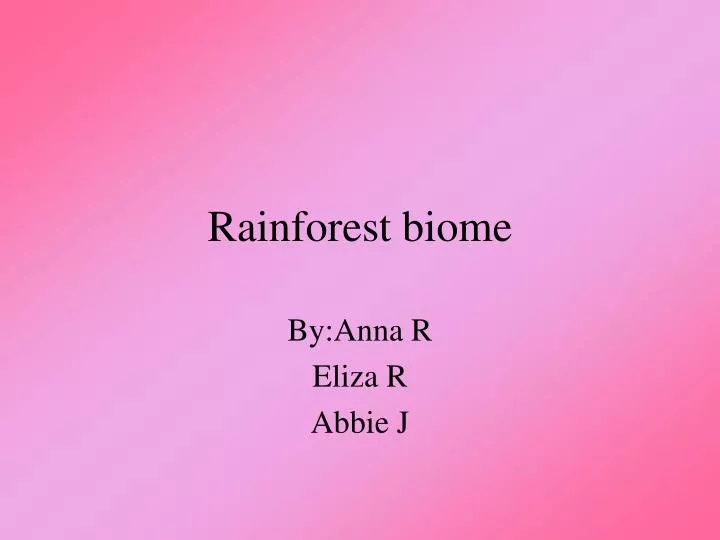 rainforest biome