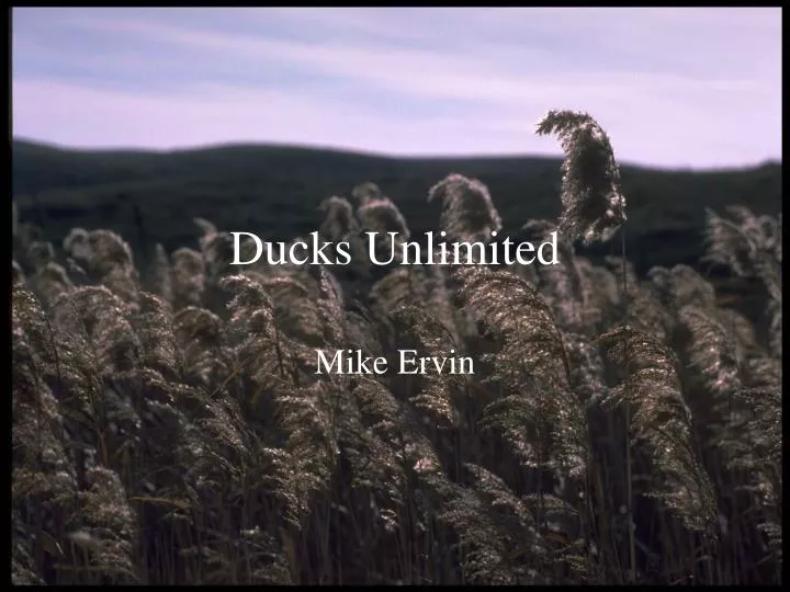 ducks unlimited