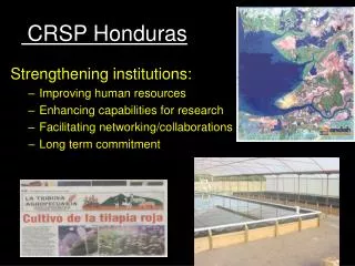 CRSP Honduras