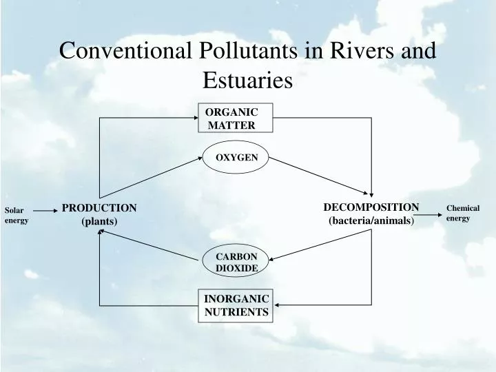 conventional pollutants in rivers and estuaries