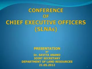 CONFERENCE OF CHIEF EXECUTIVE OFFICERS ( SLNAs )