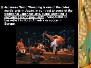 sumo wrestling presentation