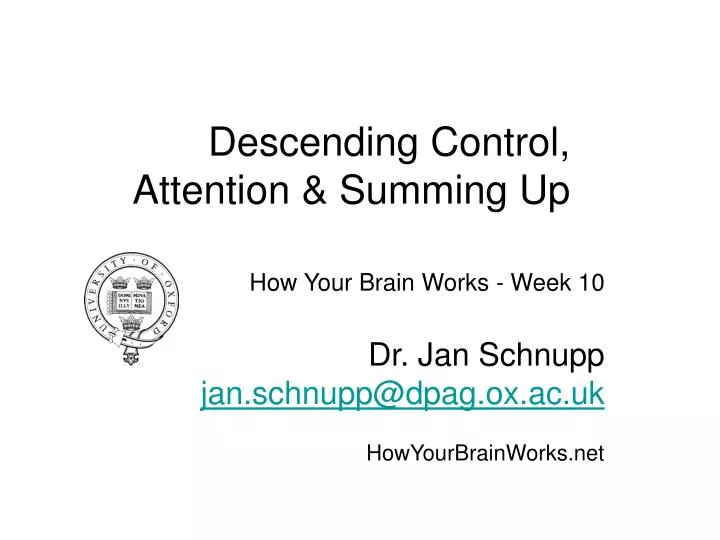 how your brain works week 10 dr jan schnupp jan schnupp@dpag ox ac uk howyourbrainworks net