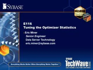 E116 Tuning the Optimizer Statistics