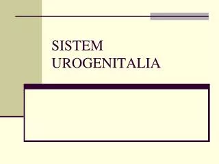 sistem urogenitalia