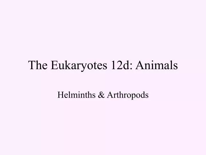 the eukaryotes 12d animals