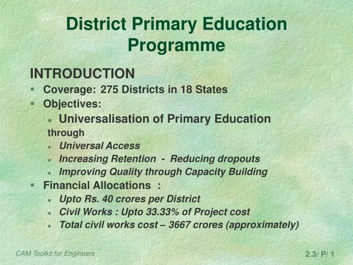 district primary education programme