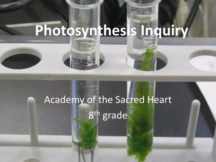 photosynthesis inquir y