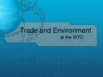 Trade and Environment at the WTO - slide 1