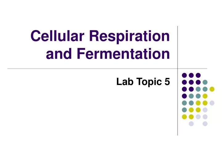 cellular respiration and fermentation