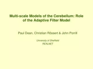 Multi-scale Models of the Cerebellum: Role of the Adaptive Filter Model