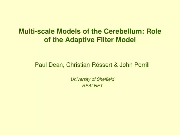 multi scale models of the cerebellum role of the adaptive filter model