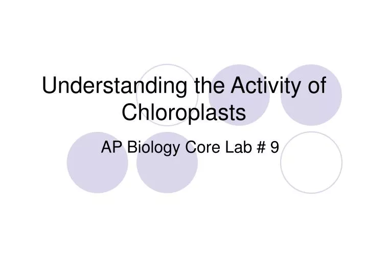 understanding the activity of chloroplasts