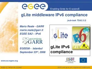 gLite middleware IPv6 compliance 					 (sub-task TSA2.3.3)