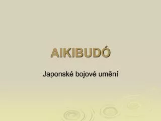aikibud