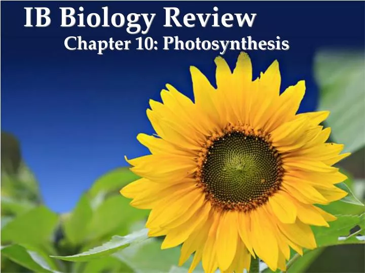 ib biology review