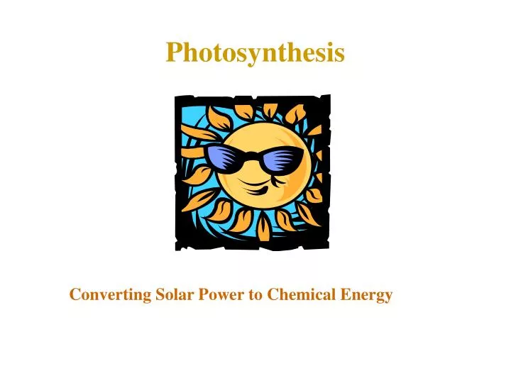 photosynthesis