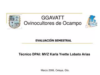 ggavatt ovinocultores de ocampo