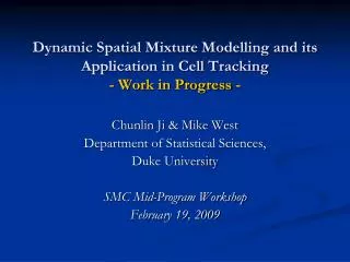 Dynamic Spatial Mixture Modelling and its Application in Cell Tracking - Work in Progress -