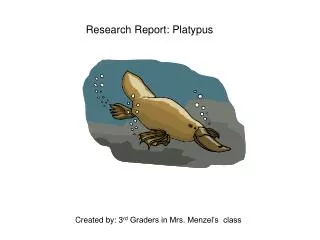 Research Report: Platypus